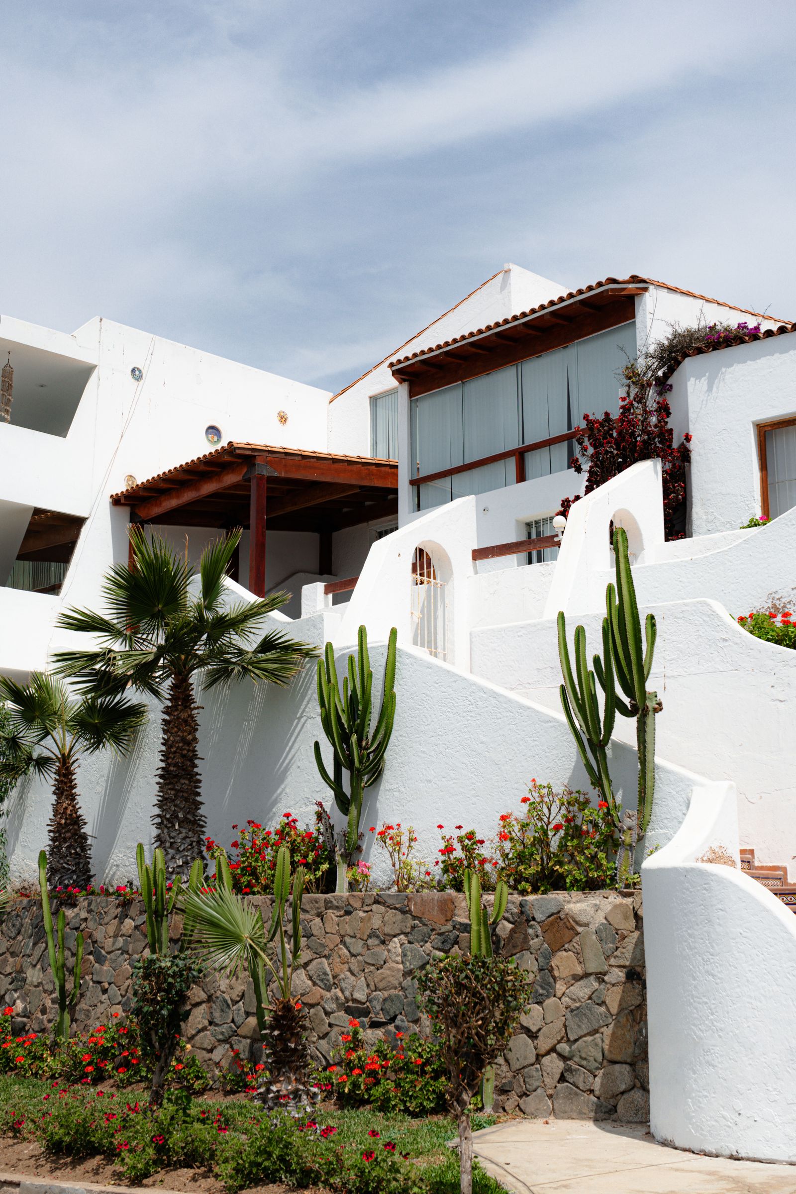 White single-storey residential house with a small planted front garden
